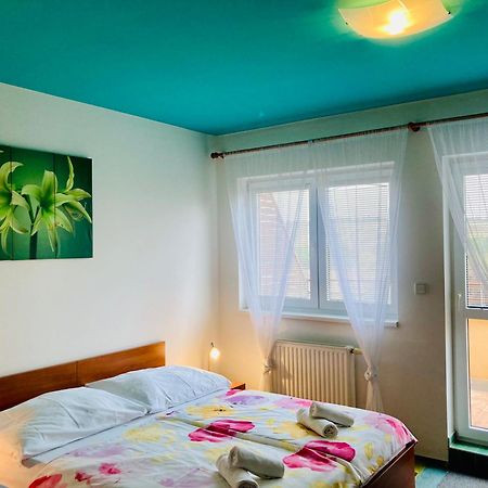 Apartmany, Penzion, Wellness U Zlate Rybky Vyskov Luaran gambar