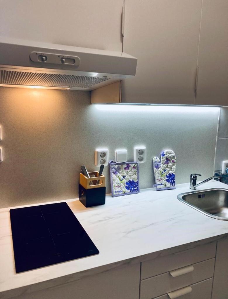 Apartmany, Penzion, Wellness U Zlate Rybky Vyskov Luaran gambar