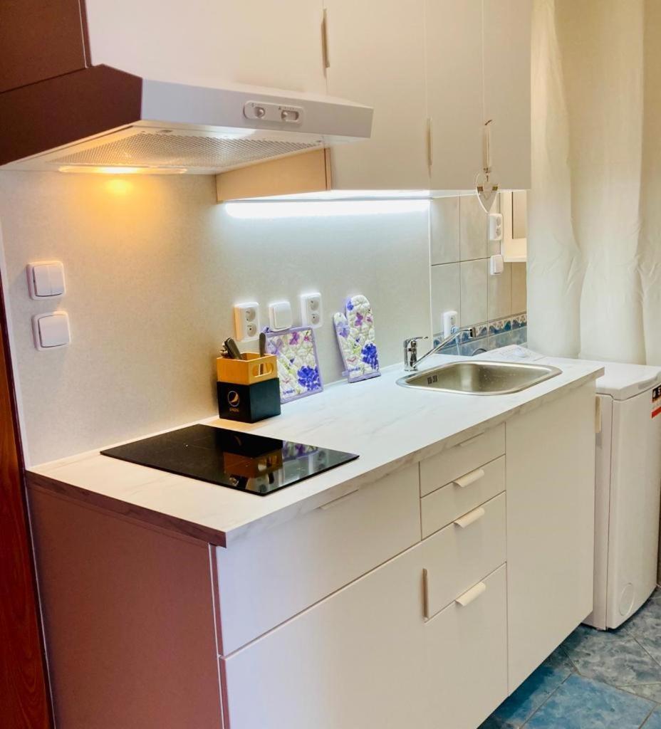 Apartmany, Penzion, Wellness U Zlate Rybky Vyskov Luaran gambar