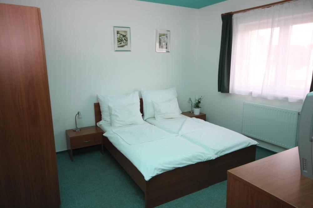 Apartmany, Penzion, Wellness U Zlate Rybky Vyskov Luaran gambar