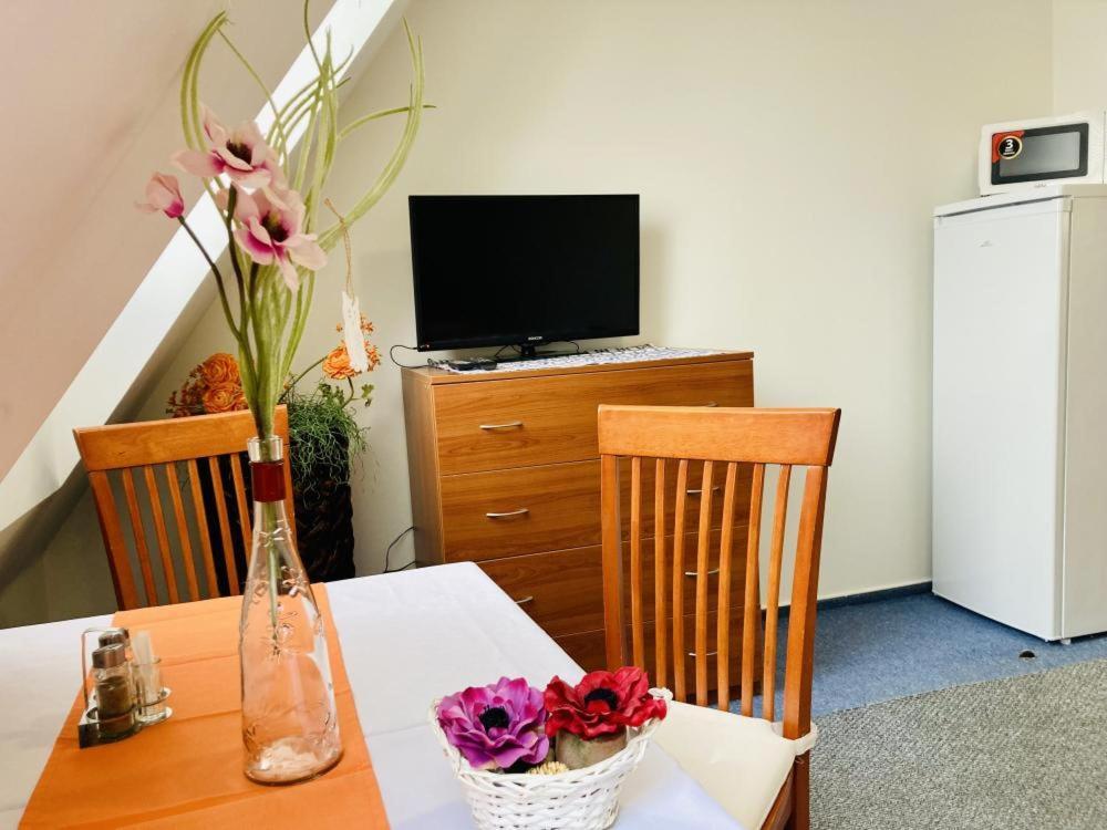 Apartmany, Penzion, Wellness U Zlate Rybky Vyskov Luaran gambar