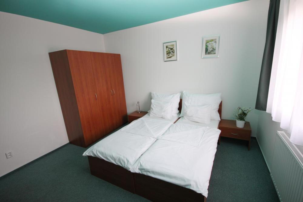 Apartmany, Penzion, Wellness U Zlate Rybky Vyskov Luaran gambar
