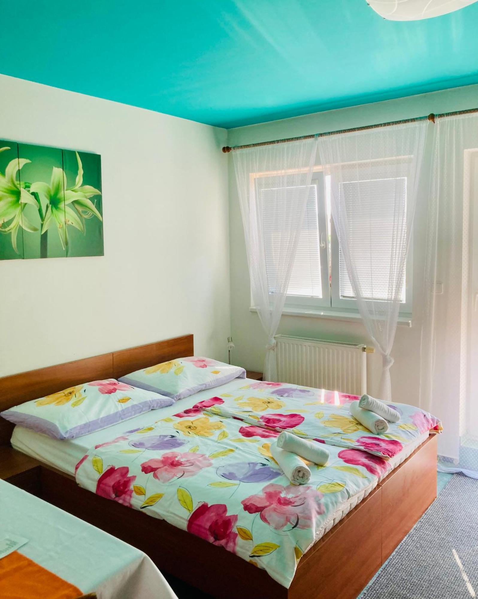 Apartmany, Penzion, Wellness U Zlate Rybky Vyskov Luaran gambar
